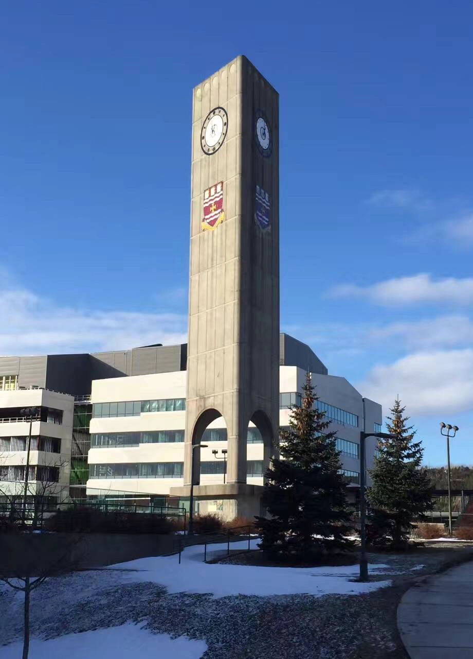 纽芬兰纪念大学