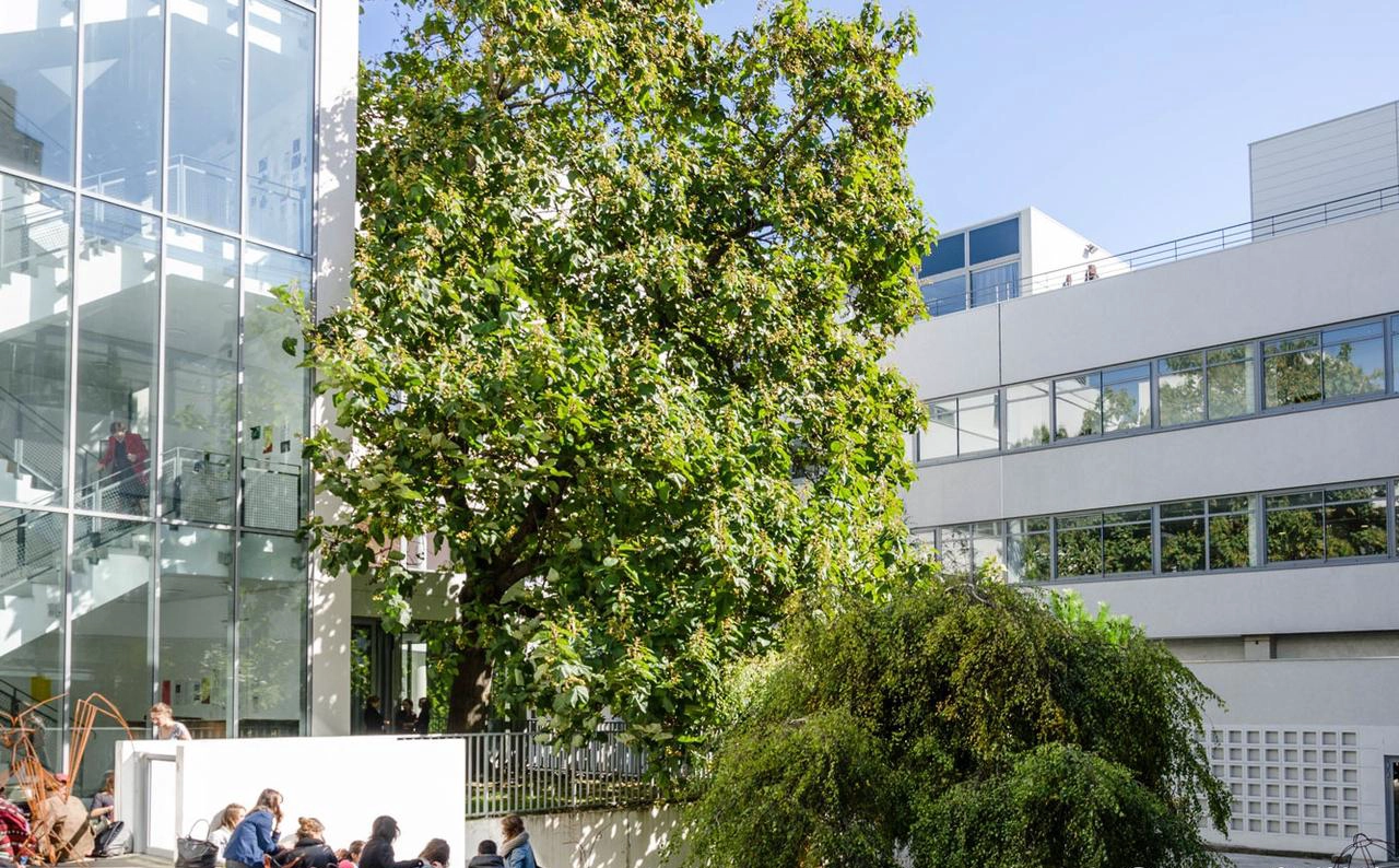 印度班加罗尔大学