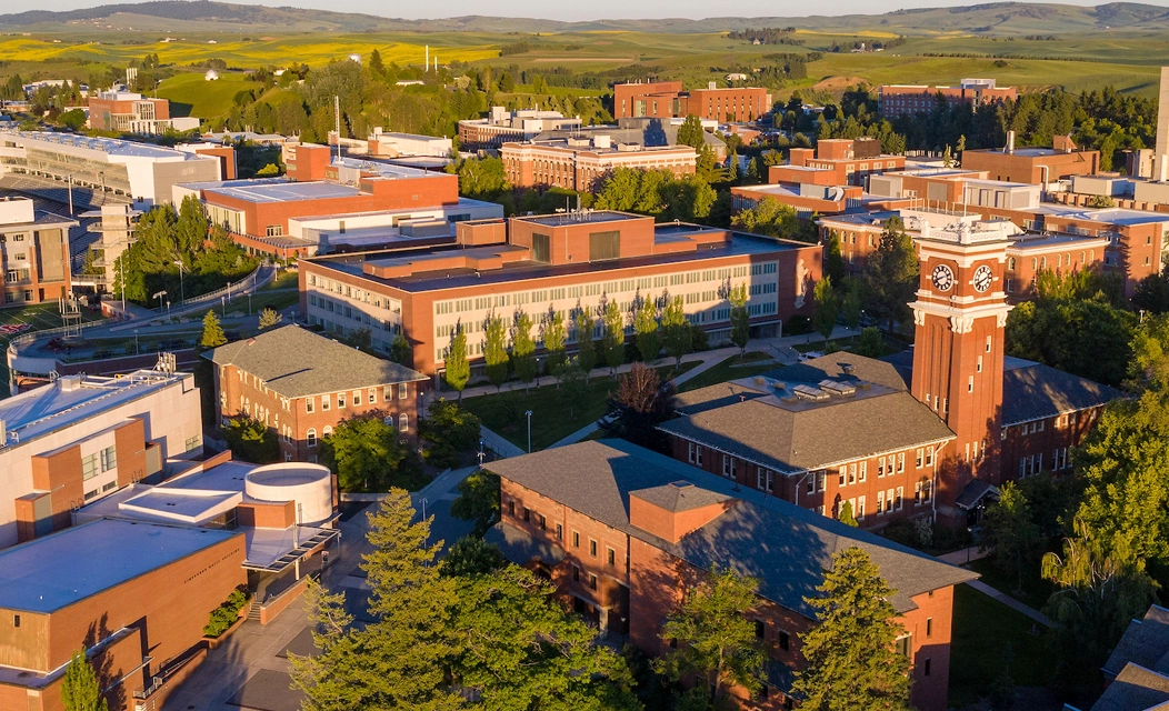 华盛顿州立大学