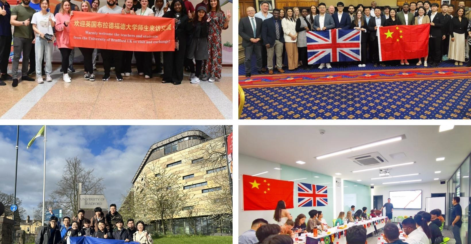 布拉德福德大学