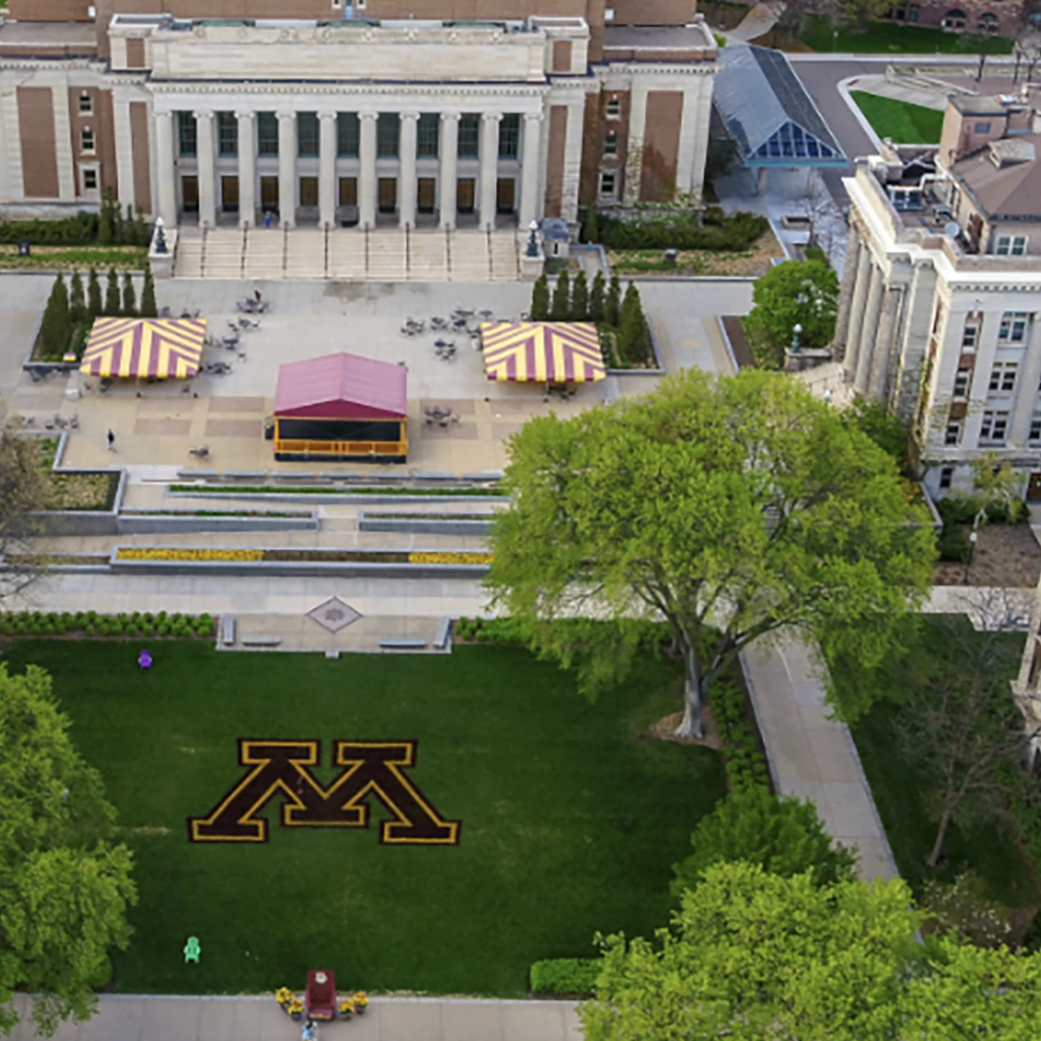 明尼苏达大学