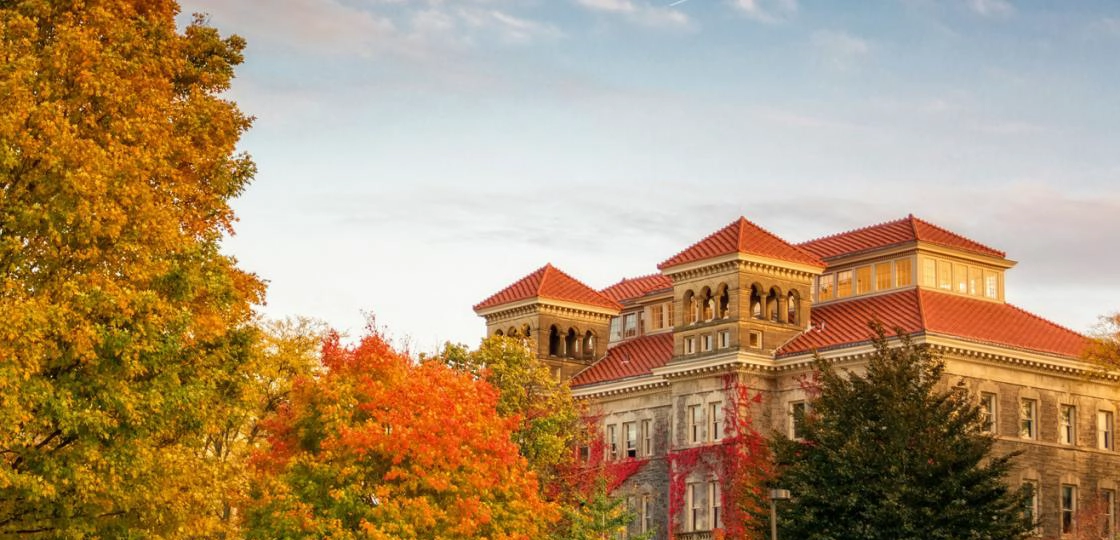 美国阳光海岸大学