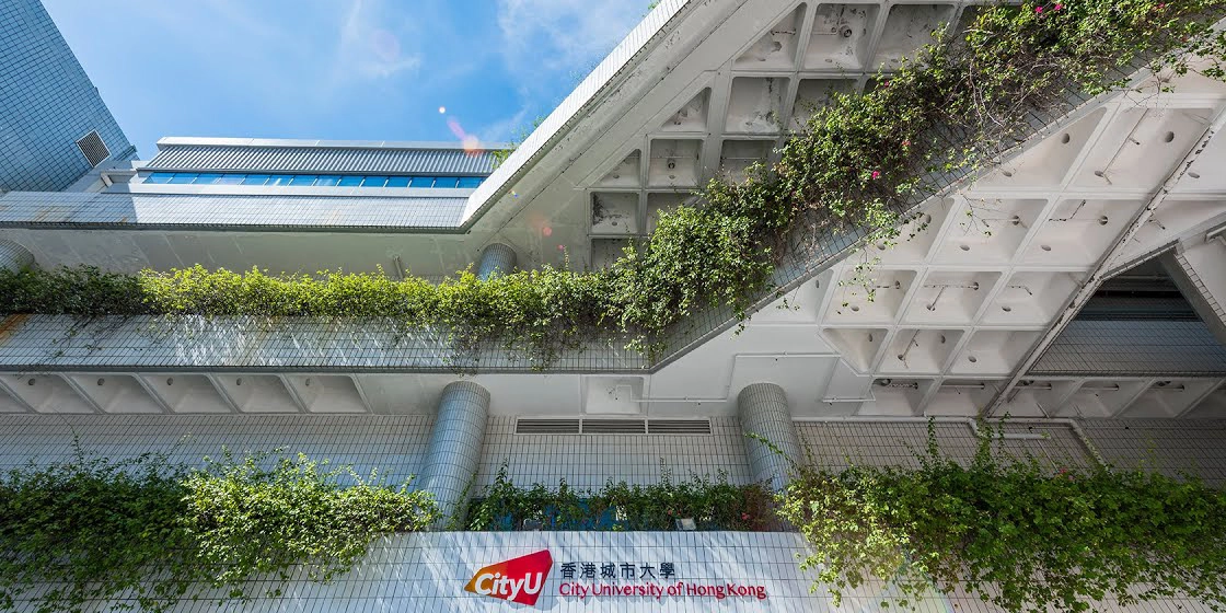 香港城市大学