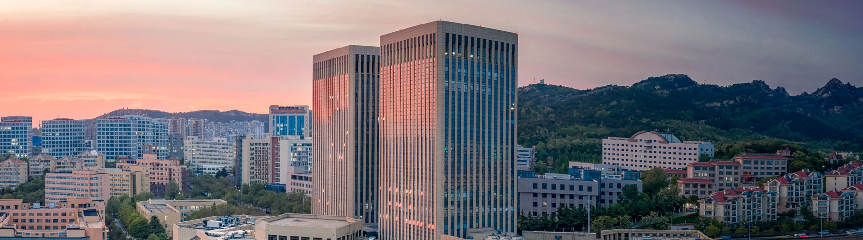 旧金山州立大学